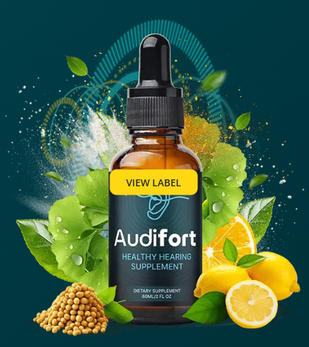 AudiFORT review